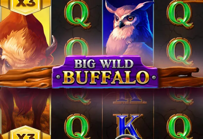 Wizebetscasino mobile app download for iOS and Android devices